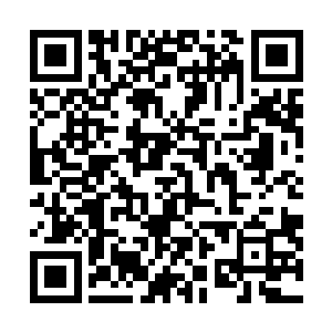 诺亚环宇的实力早已经能与杜氏财阀这样的商业巨擘抗衡二维码生成