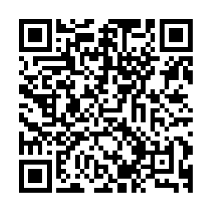 谁也不知道一个原本庞大而完善的网络解体后会造成什么后果二维码生成