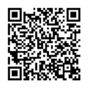 负责守卫在内城门口的妖族也就没有再进行阻拦二维码生成