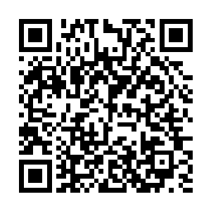 负责开局的鬼就会用目光游艺过这桌上每一个的赌客二维码生成