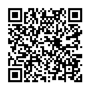贺平背后的神秘组织说实话和莫家没有多大的仇怨二维码生成