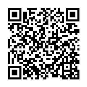 赵轻落小白在林烽的身后随着林烽一起朝着下面落去二维码生成