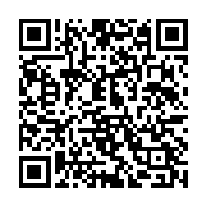 超次元军的目标也很明确……利用浦原喜助这个诱饵二维码生成