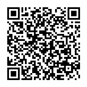 距离刘飞身后不到五米之外的沈明珠和沈佳佳却是什么都没有看到二维码生成