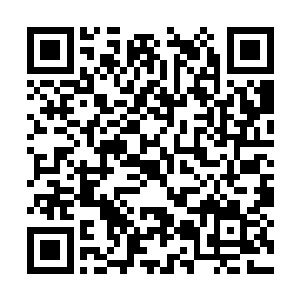 跟赵纯良详细的讲了这次与苏夜夜合作的一些细节二维码生成