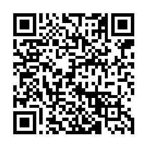 跟阿达曼和其他的剧组成员一块商量着这次首映礼上的安排二维码生成