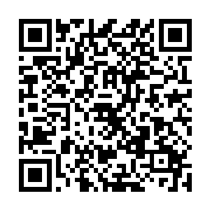 身处陌生星域一旦记不住辨别方向的坐标就很容易迷路二维码生成