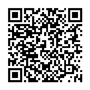 转眼间就看见那个把守堡寨北门的蒲里衍连滚带爬的冲进来二维码生成