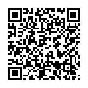 辛天仇硬是用数量堆积出一个不可穿透的坚壁防御二维码生成