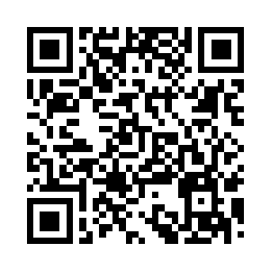 过去的我的确犯下了种种不可原谅的错误二维码生成