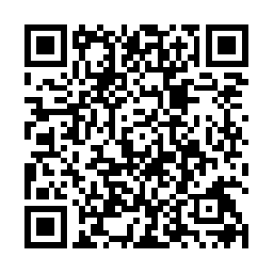 还会带上三角架之类的东西只是为了给自己拍张合影吗二维码生成