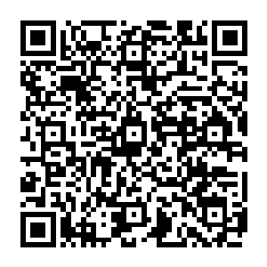 还敢不敢追加呢估计是不敢了吧哈哈跟小爷我比钱多我可是刚刚才赚了三十多亿美金的二维码生成