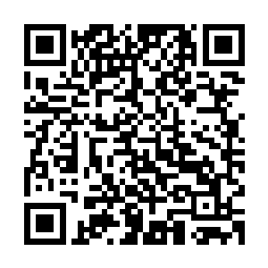 还是他首次在近距离看到封不觉在这种恐怖解密类剧本里的表现二维码生成