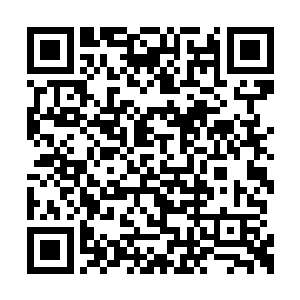 还是曾经和流墨墨他们在另外两个大花园待过的二维码生成