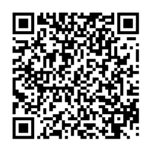 还是被今年这群享受到了最好待遇但在比赛上却不怎么给力的队员给气的二维码生成