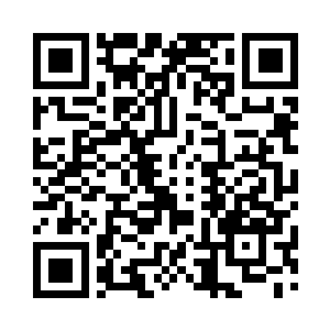 还是说这二十五位明星其实不是来进行表演二维码生成