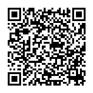 还有你……住手……影魔身上的鳞片可是制作匿息护符的好东西……二维码生成