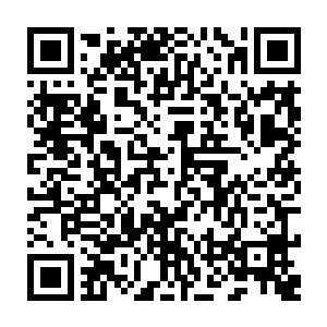 还有另外一个神尊初期顶峰的老者正在跟一只神尊初期顶峰的血狱怪物纠缠二维码生成