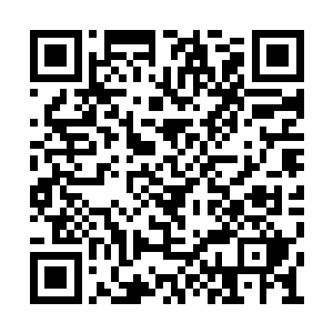 还有绿草门现在所拥有的一切也全都是他们的了二维码生成