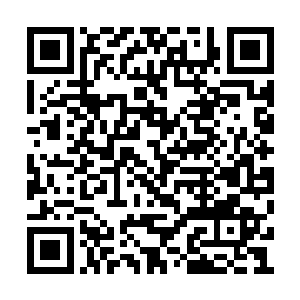 这一刻的伦敦商业金融学院毕业的国际经贸专家二维码生成