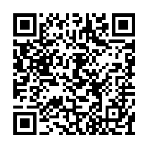 这一次他从通天塔主那里得到了很多有用的消息二维码生成