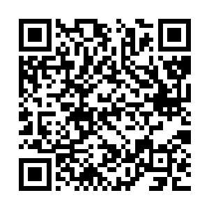 这一次校花肯定是彻底地不会理会林烽这个差生了二维码生成