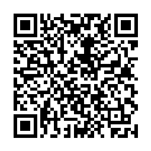 这一次的四大家族会武凌家肯定还会一如既往的领先二维码生成