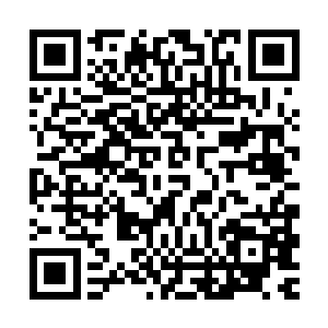 这一次的活动可以说是让古族的奴隶一个个对古族更加的忠心了二维码生成