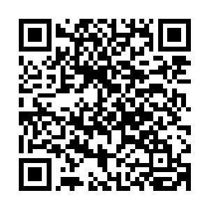这一次金仙道想要让我们和天罡宗打得头破血流估计就不容易了二维码生成