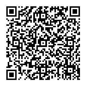 这两个节目组邀请到的史上最神秘的学员跟传说中的世界脑力巅峰嘉宾的确足以勾起大部分人的兴趣二维码生成