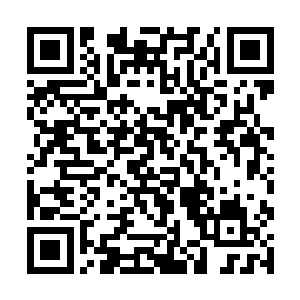 这两把祖器所展现的威力已经完全出了古籍上的记载二维码生成