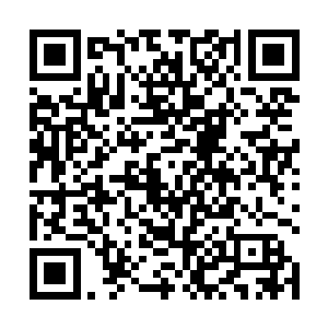 这个任务最关键的地方是原主心愿凌驾于系统任务之上二维码生成