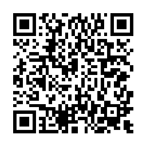 这个古战场据说就是当年无敌仙君和修罗王战斗的地方二维码生成