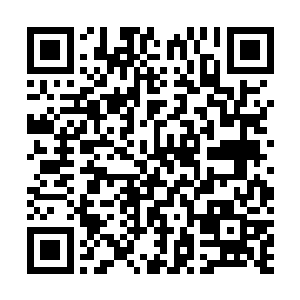 这个地方虽然不容易找到南城街上那么多贵重稀有的宝贝二维码生成