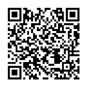 这个种族生存的平衡的基础和宇宙法则就会被打破二维码生成