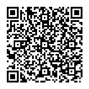 这么几百艘巨大到超出人类想象乃至于甚至跟新地球的卫星都差不多体积的大家伙二维码生成