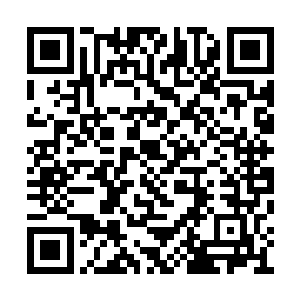 这也是你在人族身上唯一能得到的两种果实……二维码生成