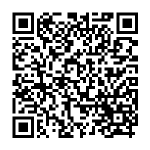 这也是珍妮和切萨雷都对于拿到ge投资较有信心的缘故――事实上二维码生成