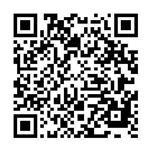 这也跟那二位早被她凶残镇压过无数次简直畏之如虎有关二维码生成