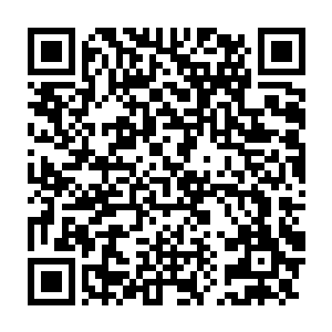 这些人会时不时地通过手边的对讲机向隐藏在岛上的工作人员发号施令二维码生成