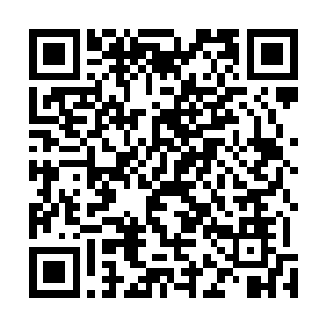 这些天跟老蒋老白讨论过多次这次的成败细节经验教训了二维码生成