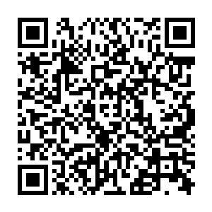 这些法阵的存在就是为了等待猎魔人来到这些地方开启传送门抵达夜行者地牢二维码生成