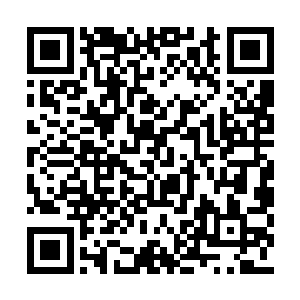 这些鬼丝虫已经将你的眼珠子啪啦的一声咬爆掉二维码生成