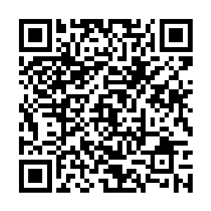 这份怒火在他召唤出十五条水龙之后攀升到了顶点二维码生成