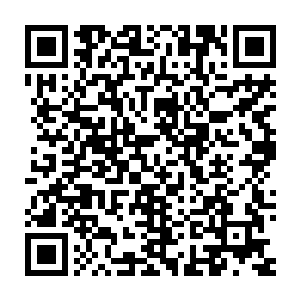 这位被苏檀儿称为世叔的蚕丝商人便在园林一旁的偏厅统一招待了众人二维码生成