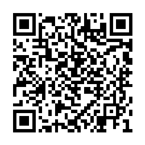 这位难道就是传说中的无量圣主麾下大将海渊客二维码生成