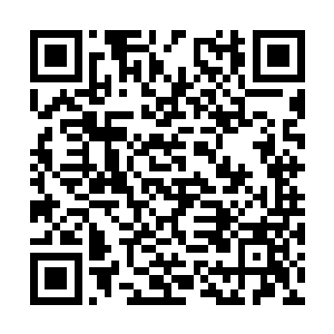 这使得他已经成为了李家年轻一代中的第一强者了二维码生成