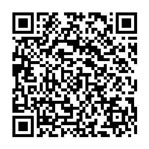 这几个月来所有在不经意间遗忘的过去都在此时冒出来没完没了地折磨他二维码生成