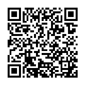 这可是林初音特意给他选的宇宙中最坚硬的金属打造二维码生成