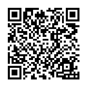 这名保镖队长绝对会再一次将手枪从怀中的枪套里掏出二维码生成